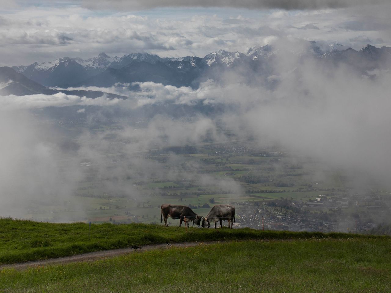 NATURE · SUISSE
